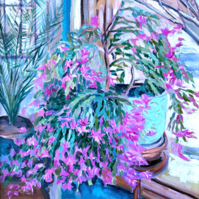 "Christmas Cactus Ready"