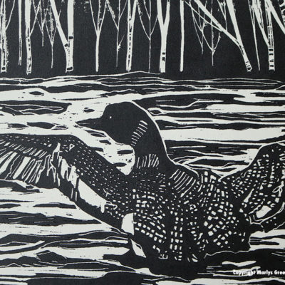 "Loon Taking Off"