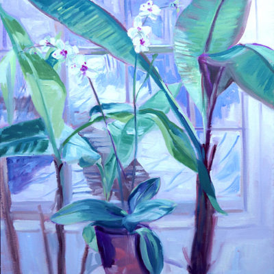 "Orchid at the Window"