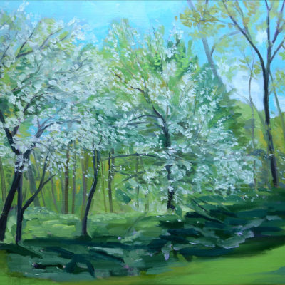 "Spring Apple Blossoms"